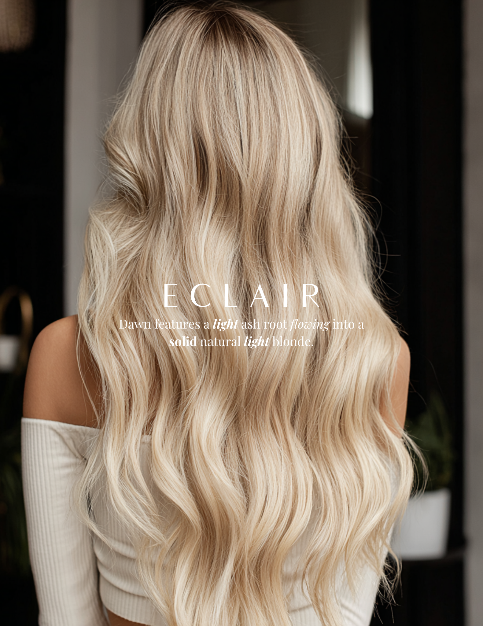 Eclair | 8A ROOT - 9G